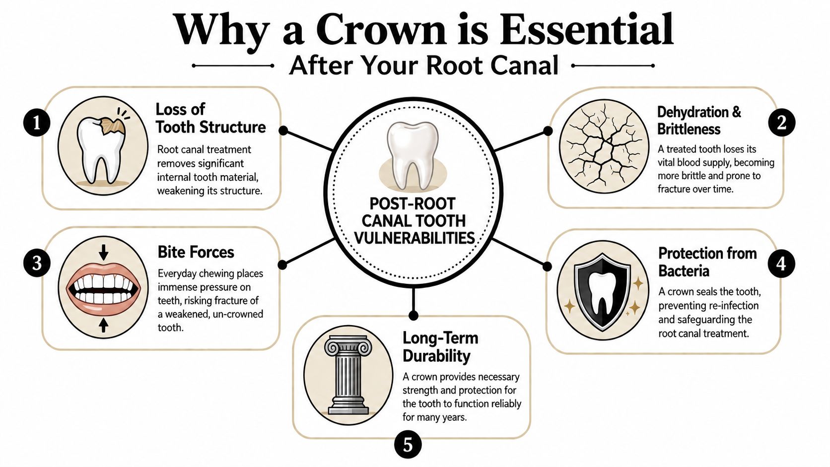 An infographic explaining why a dental crown is necessary after undergoing a root canal procedure.