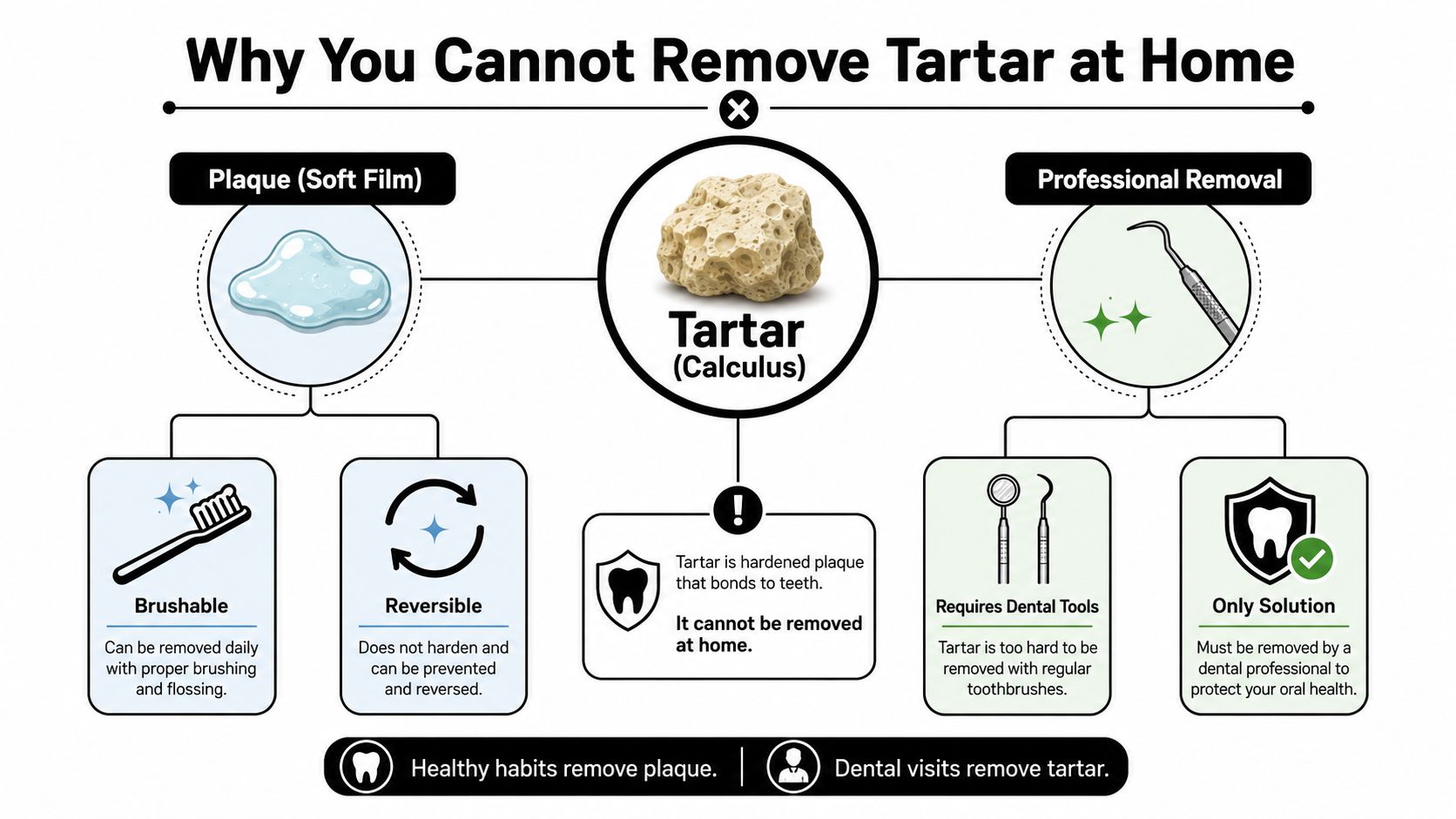 An infographic explaining that plaque is removable with brushing, while tartar requires professional dental cleaning tools.