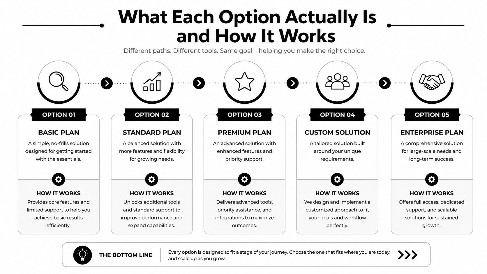An infographic titled What Each Option Actually Is and How It Works showing five business service plans.